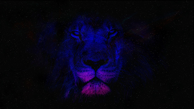Space Lion 4K Wallpaper