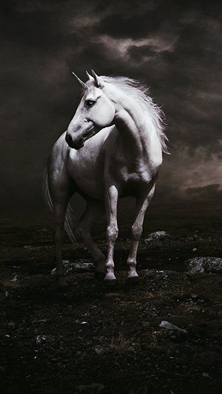 Unicorn