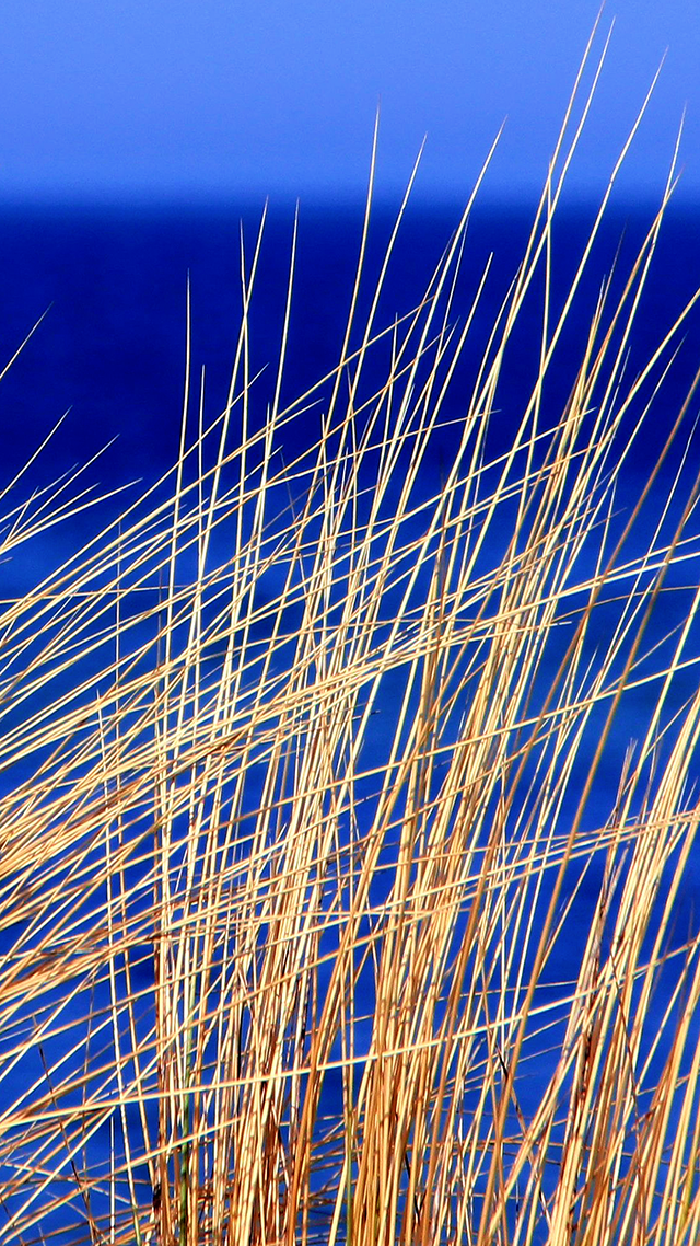 Beach Blue hd Wallpaper for Android.