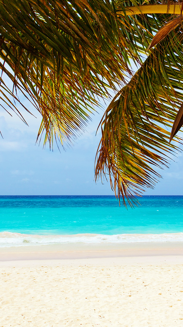 Caribbean Blue hd Wallpaper for Android.