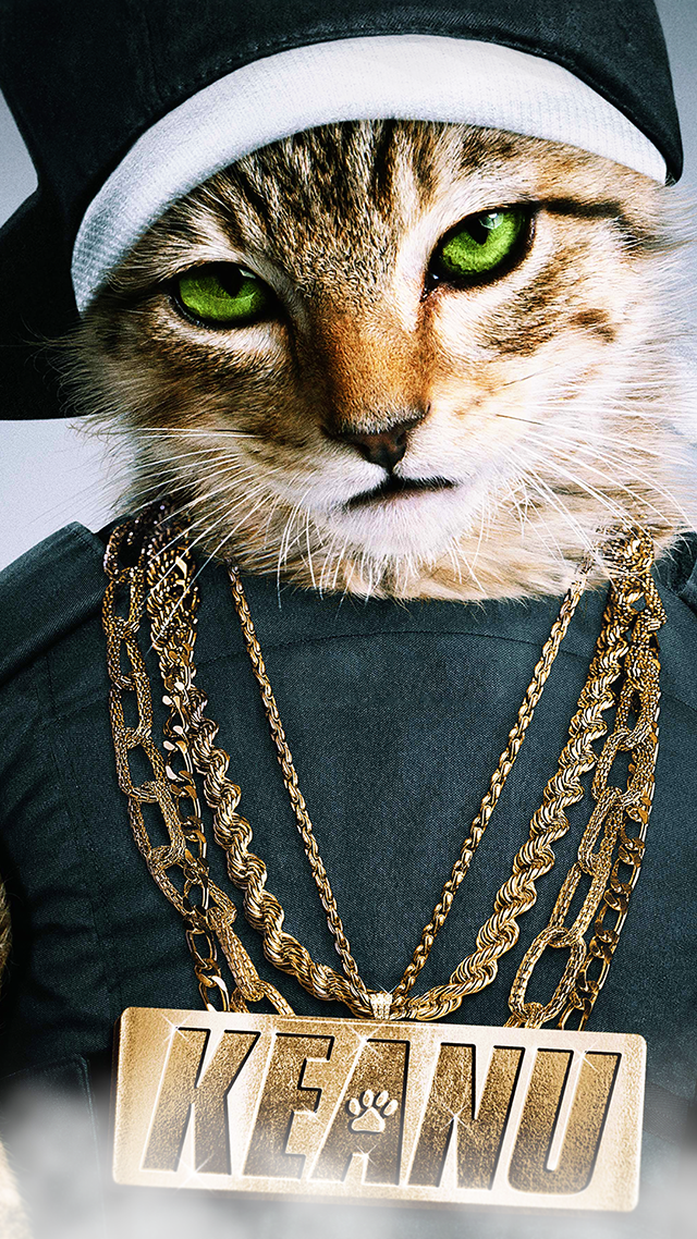 Keanu Cat hd Wallpaper for Android.