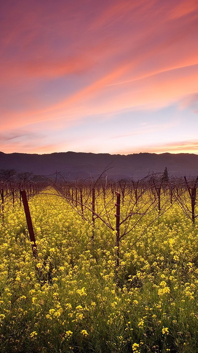 Production hd Wallpaper for Android.