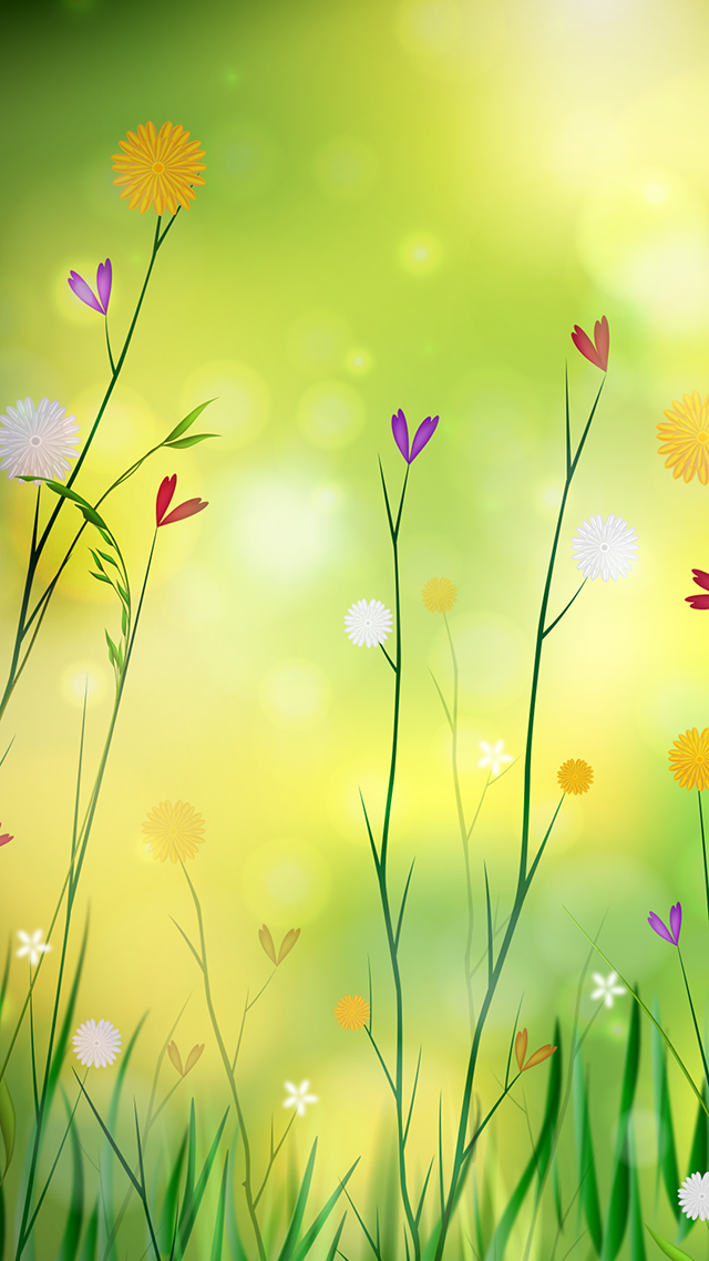 Spring Time Flowers hd Wallpaper for Android.