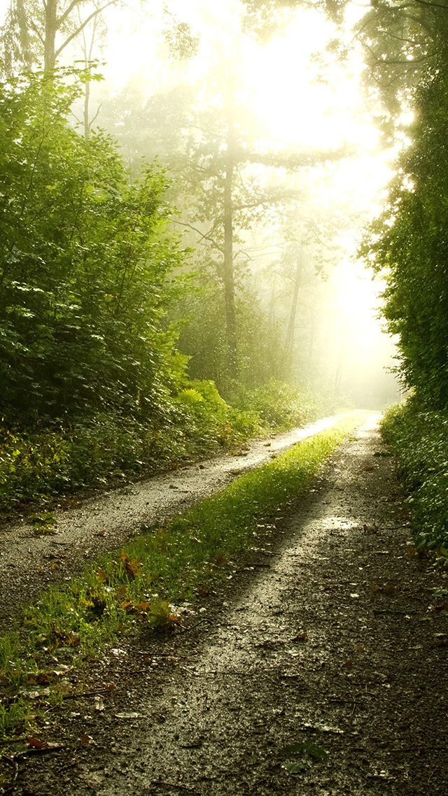 The Road hd Wallpaper for Android.