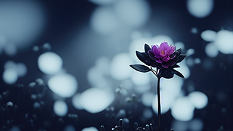 Flower 8K Wallpaper