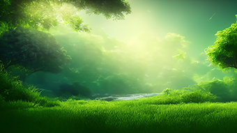 Green Nature Chromebook Wallpaper