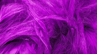 Purple Aesthetic 4K Wallpaper