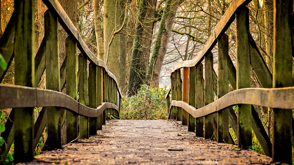 Away Bridge Google Meet Background