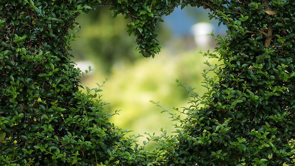 Heartscaping Background