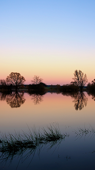 Evening