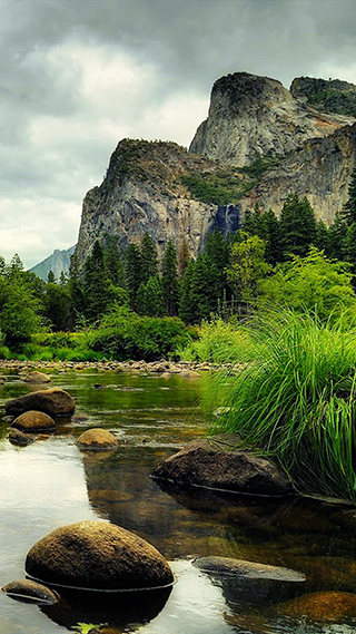 Natures Way