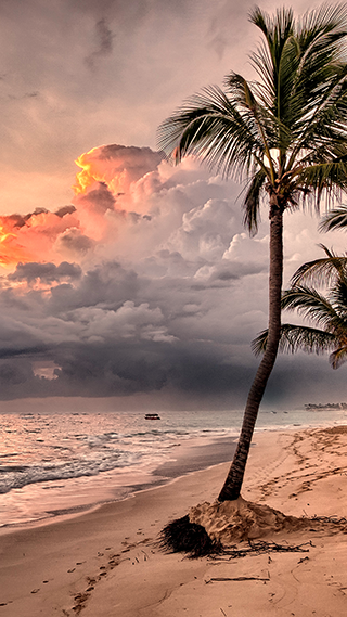 Tropical Dusk