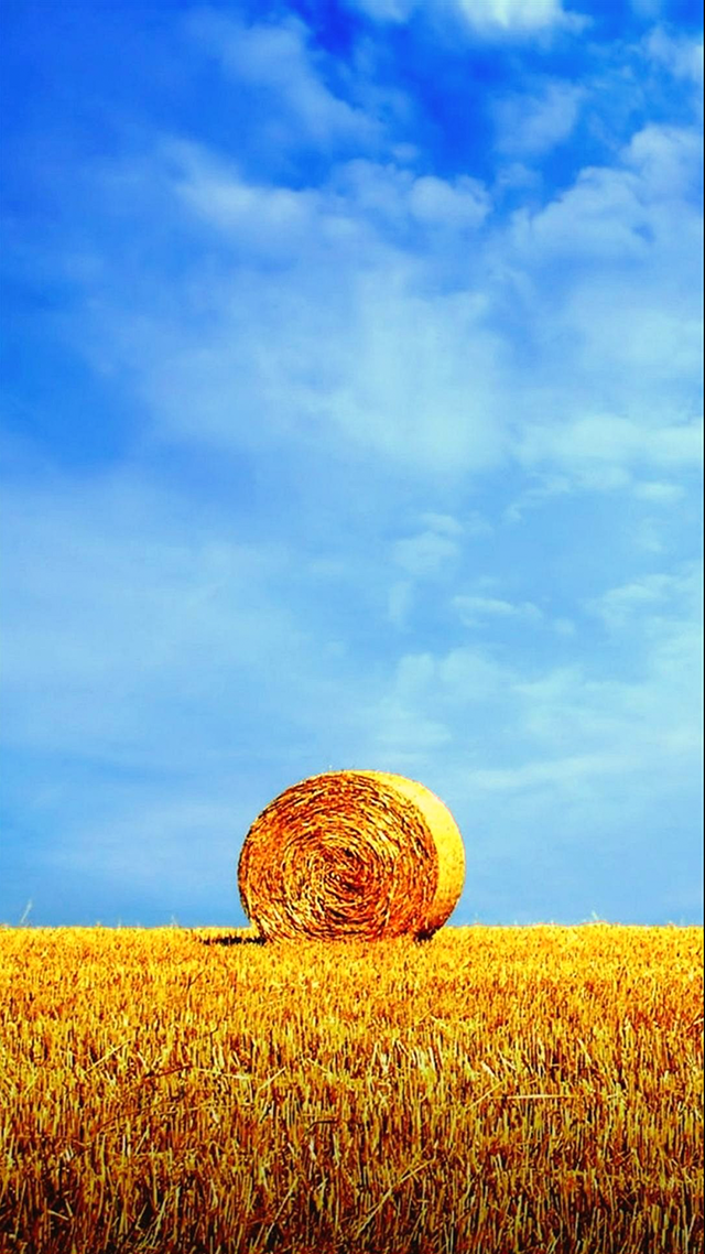 Hay Bale Google Pixel Wallpaper.