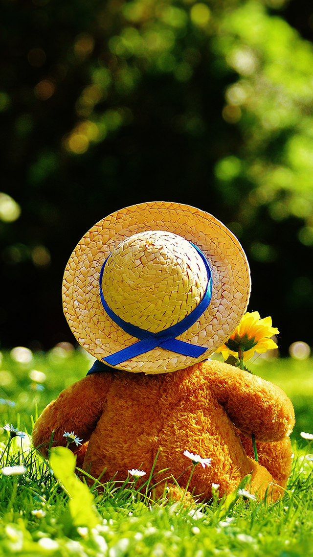 Teddy Bear Back Google Pixel Wallpaper.