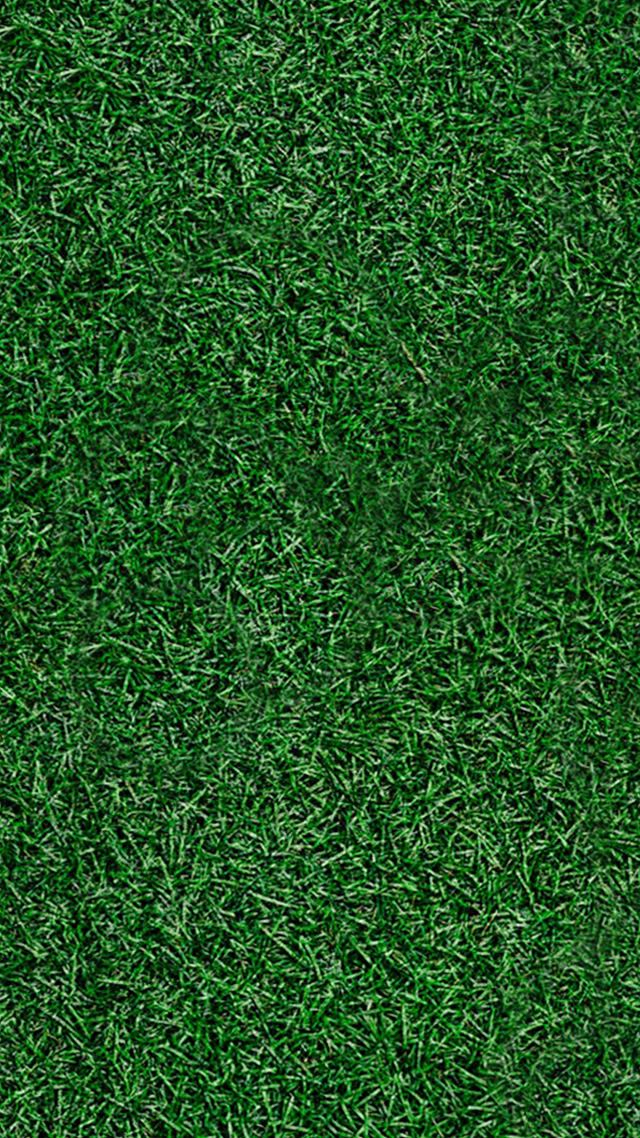 Grass Pitch Home Screen Wallpaper.
