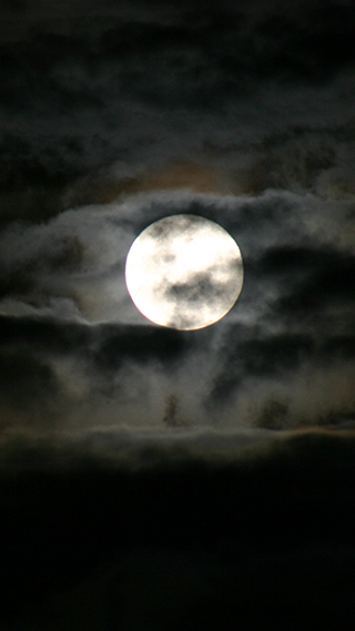 Dark Moon