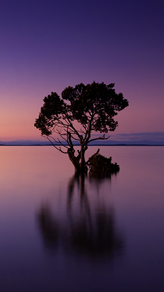 Sunset Lake
