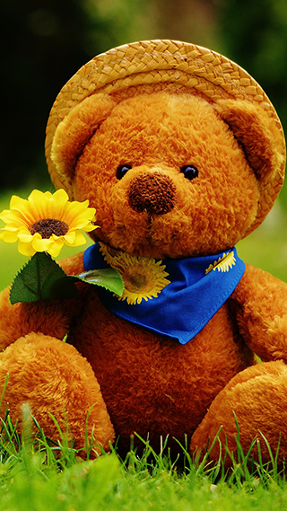 Teddy Bear