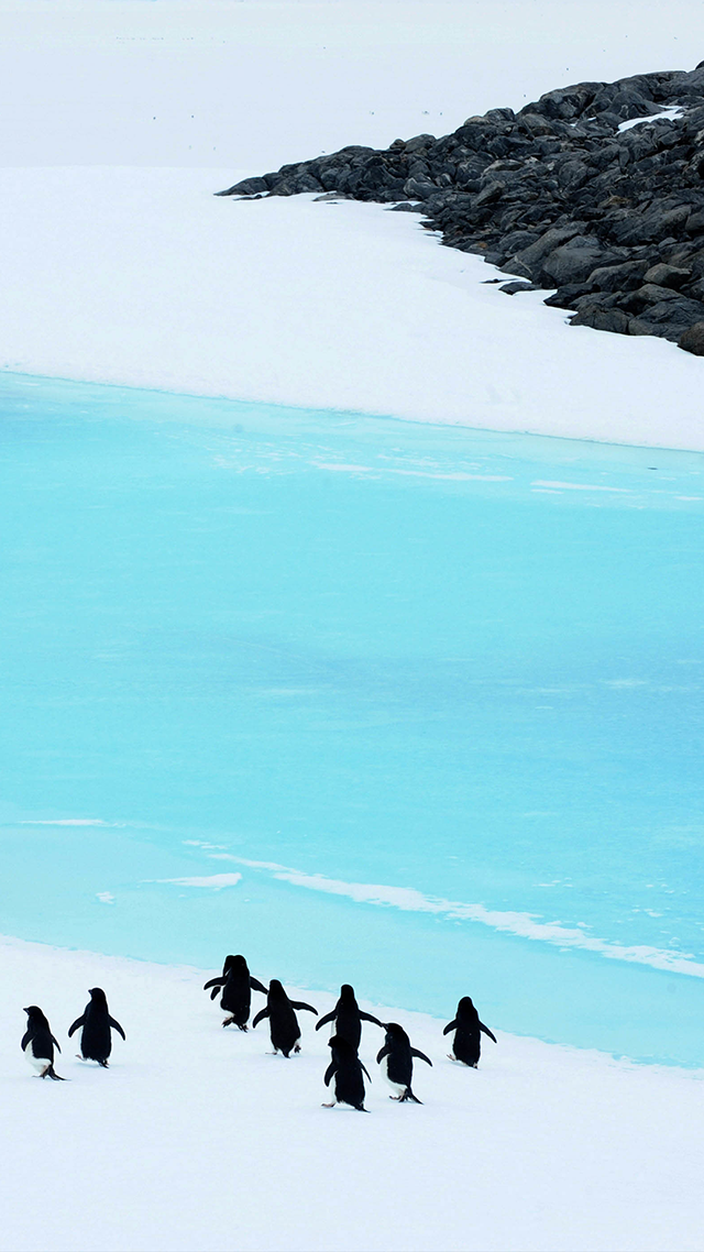 Arctic Circle Huawei P30 Pro Wallpaper.