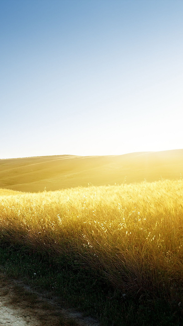 Country Road Huawei P30 Pro Wallpaper.