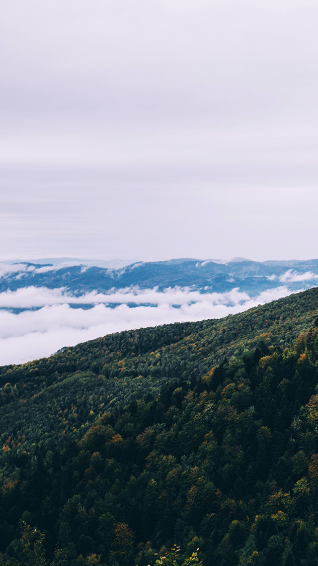 Green Mountain Huawei P50 Pro Wallpaper.