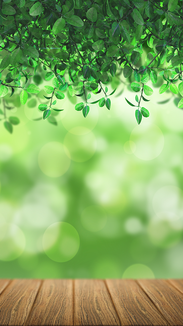 Nature Bokeh iPhone Wallpaper.