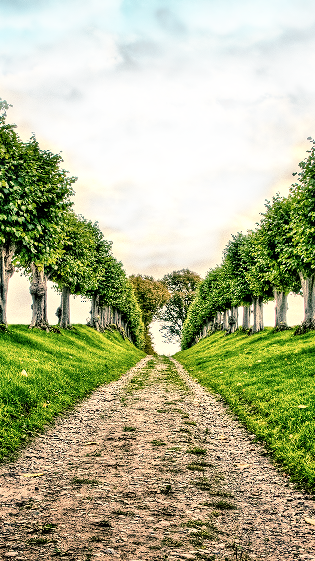 Pilgrimage iPhone 11 Pro Max Wallpaper.