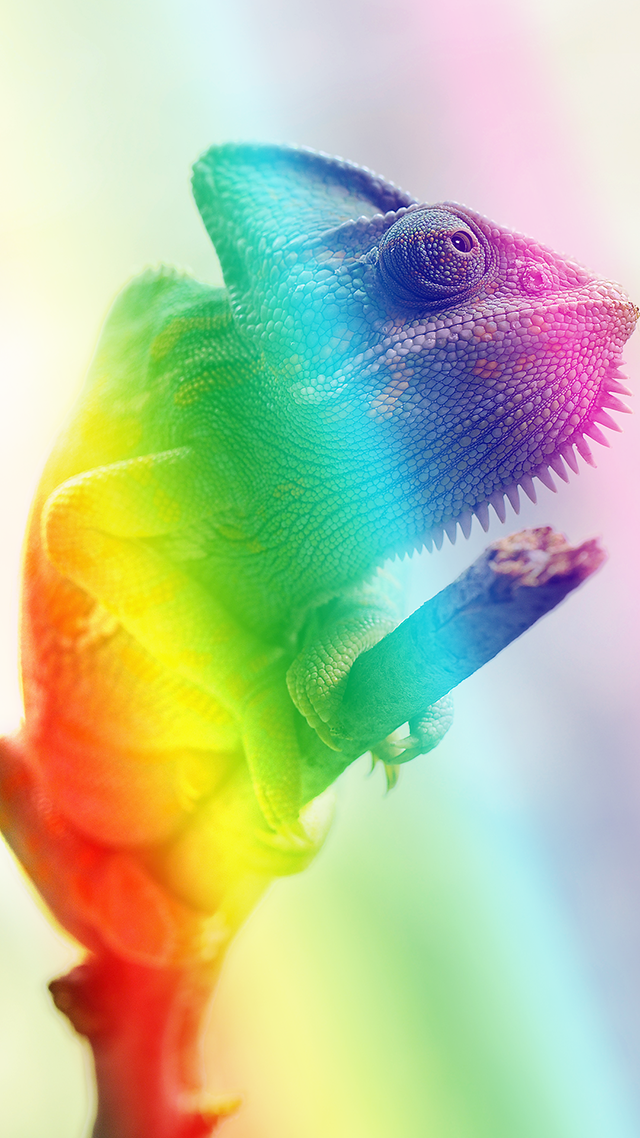 Chameleon Color iPhone 12 Wallpaper.