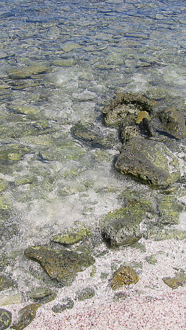 Shallow Shore iPhone 12 Wallpaper.