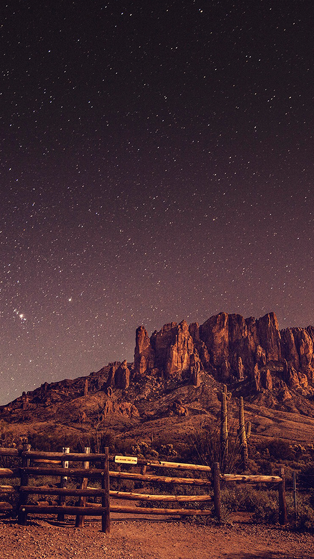 Starry Night iPhone 12 Wallpaper.