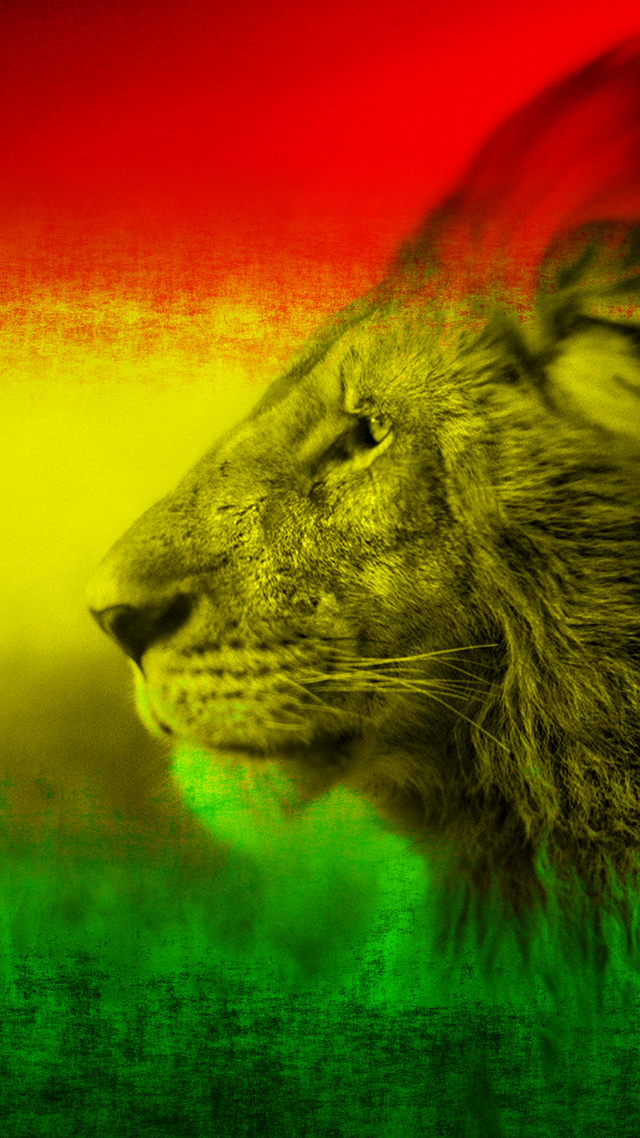 Wise Lion iPhone 12 Wallpaper.