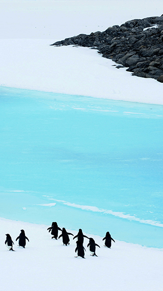 Arctic Circle