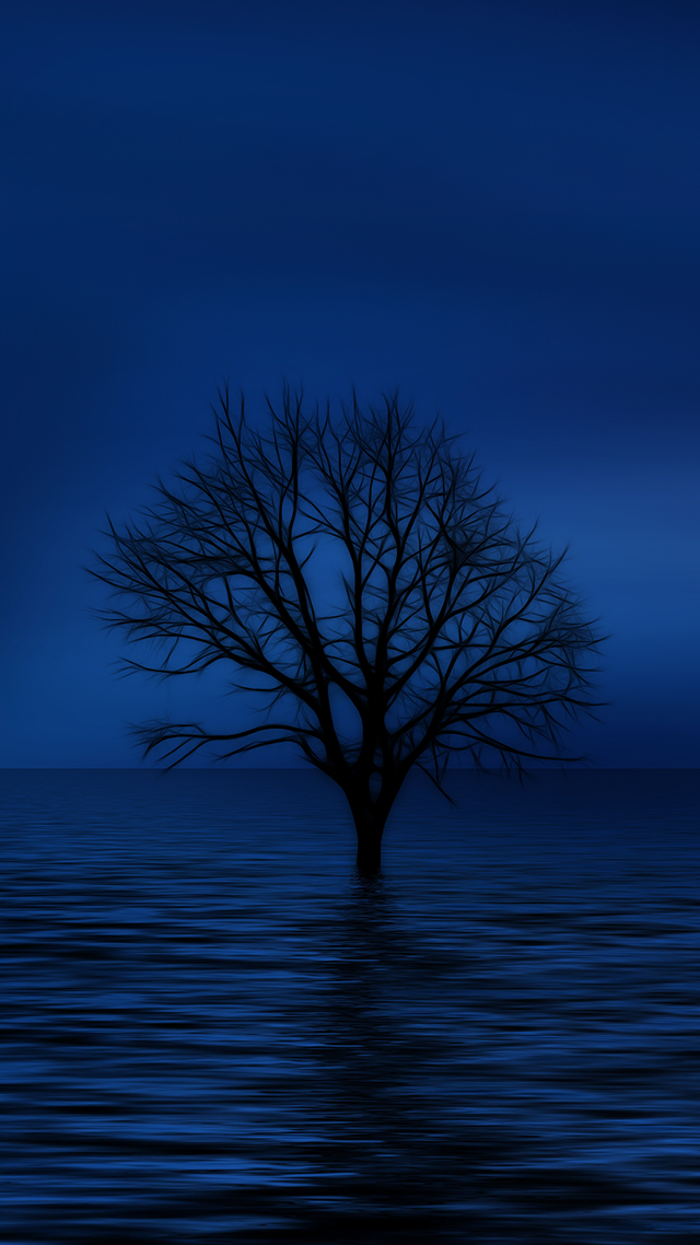 Blue Tree Moonlight iPhone 13 Pro Max Wallpaper.