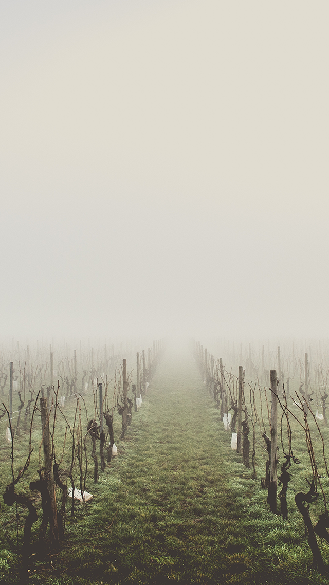 Country iPhone 13 Pro Max Wallpaper.