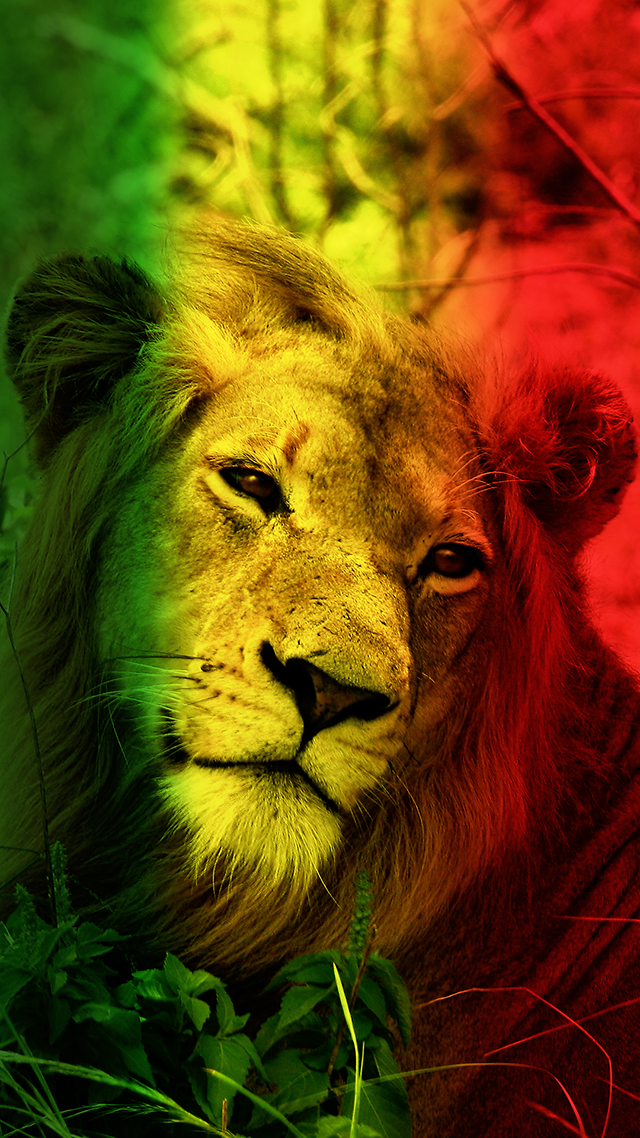 Lion Heart iPhone 13 Pro Max Wallpaper.