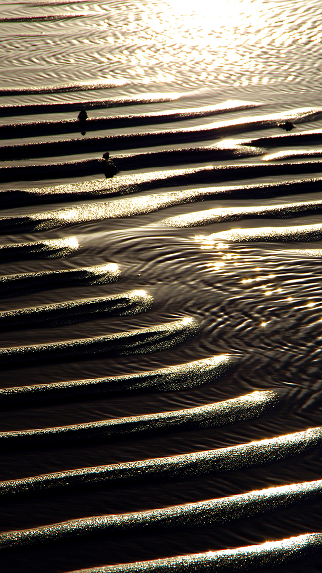 Sunny Shore iPhone 13 Pro Max Wallpaper.