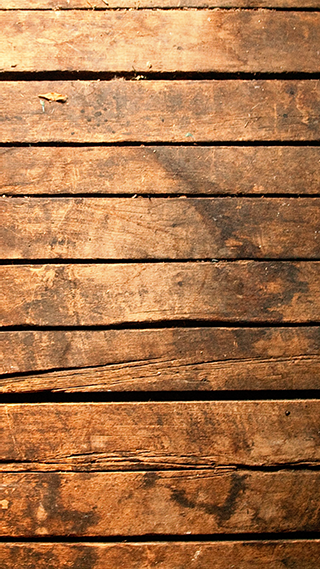 Earthy Wood Home Screen and Lock Screen Wallpaper