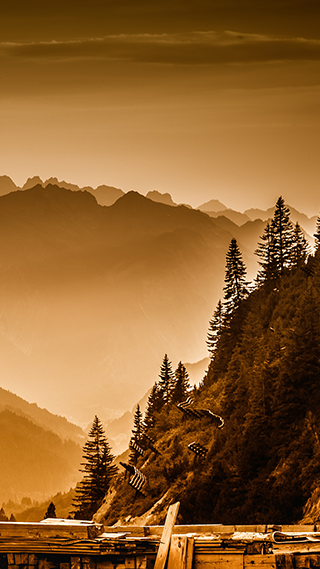 Mountain Pass iPhone XR Wallpaper