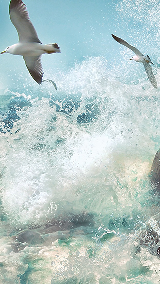 Resilience Samsung Galaxy Wallpaper