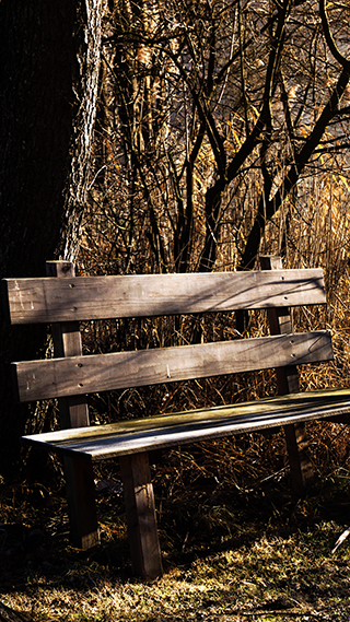 Wood Bench High Res iPhone Wallpaper