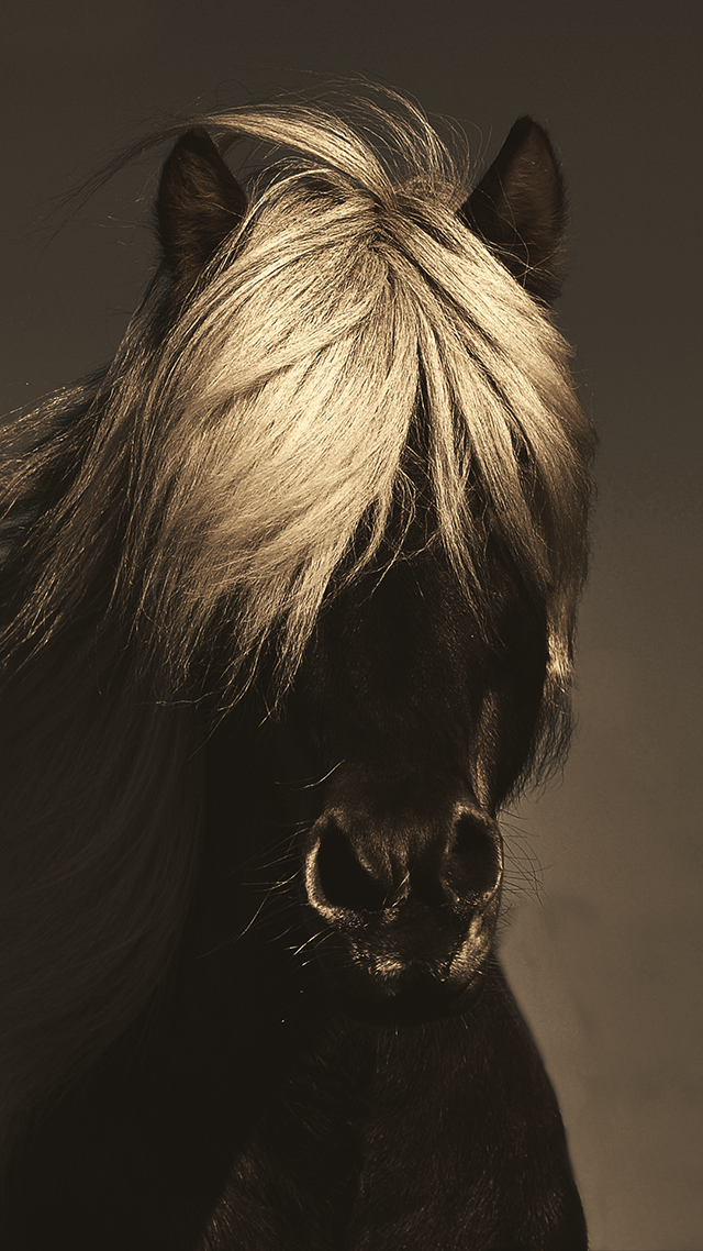 Dark Horse 4K iPhone Background
