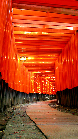 Enlightened Path