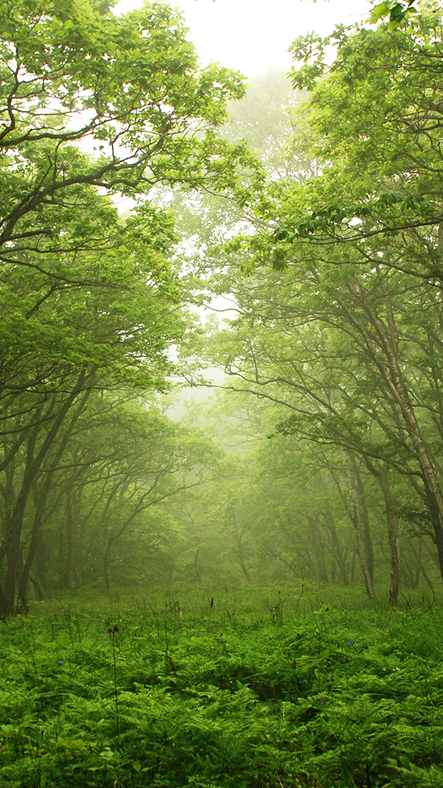 Green Mile Wallpaper for Samsung.