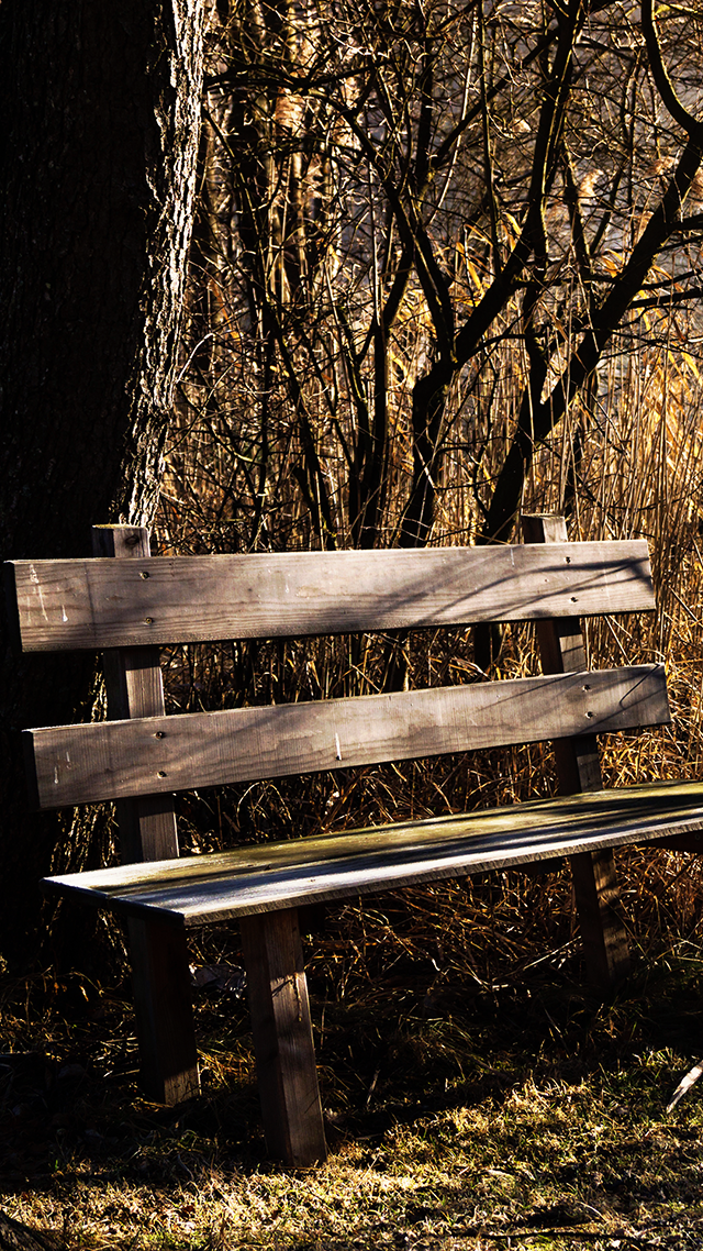 Wood Bench Wallpaper for Samsung.
