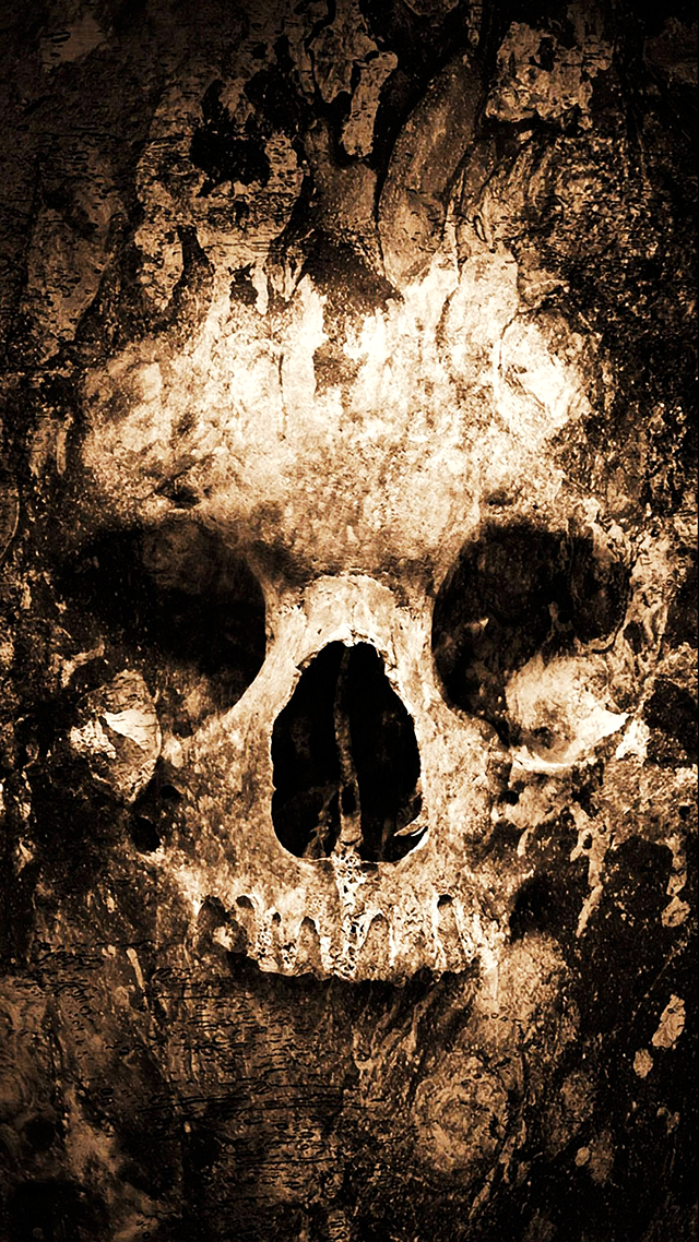 Zombie Skull Wallpaper for Samsung