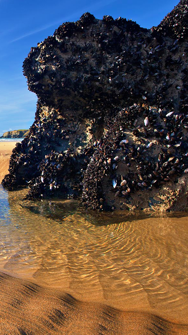 Lagoon Samsung S21 Wallpaper.