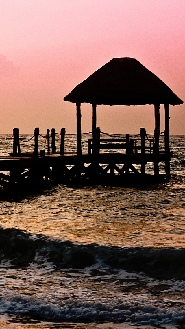 Tropicana Samsung S21 Wallpaper.