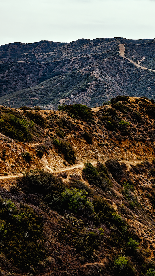 Catalina Island Samsung Z Fold 3 Wallpaper.